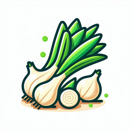 Garlic vector icon. Vegetable illustration isolated on white background.のイラスト素材