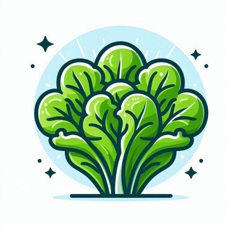 Vector illustration of green lettuce in cartoon style isolated on white background.のイラスト素材