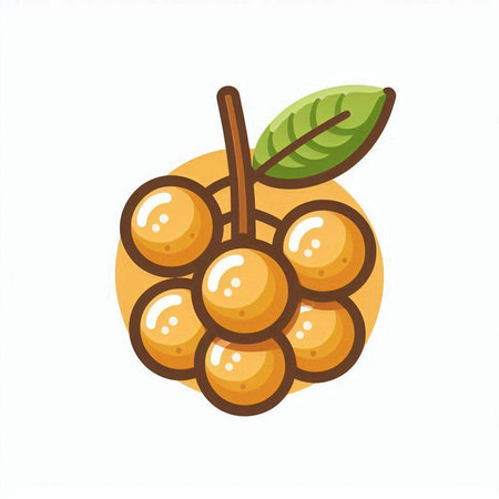 Wollongong fruit icon. Isolated on white background. Vector illustration.のイラスト素材