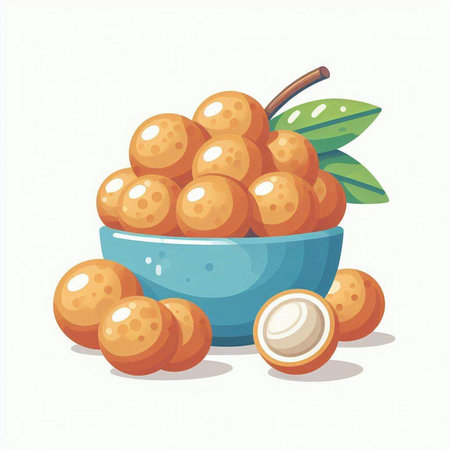 Longan fruit in a bowl isolated on white background. Vector illustration.のイラスト素材