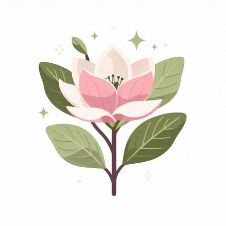 Beautiful pink magnolia flower on white background. Vector illustration.のイラスト素材