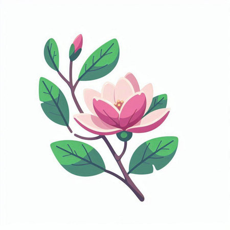 Pink magnolia flower with green leaves isolated on white background. Vector illustration.のイラスト素材