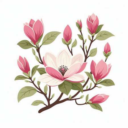 Magnolia flowers isolated on white background. Hand drawn vector illustration.のイラスト素材