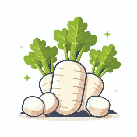 Illustration of white radish in cartoon style on white background.のイラスト素材