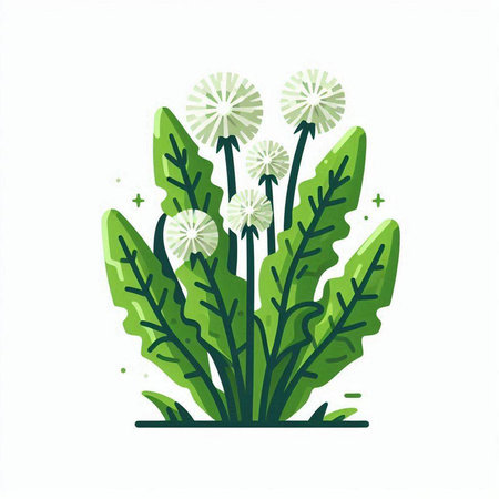 Dandelion flower icon, vector illustration isolated on white background.のイラスト素材