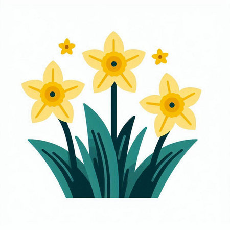 Yellow daffodils on a white background. Vector illustration.のイラスト素材