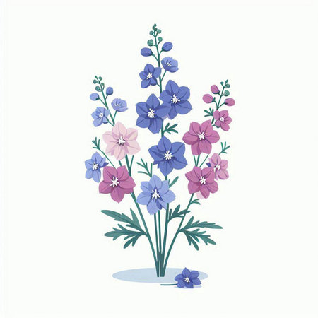 Delphinium flowers, vector illustration isolated on white background.のイラスト素材