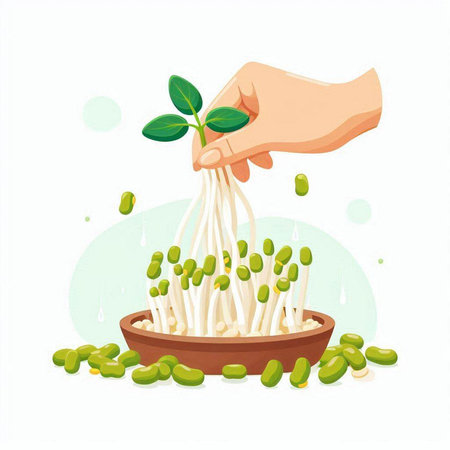 Mung bean sprouts in bowl with human hand. Vector illustration.のイラスト素材
