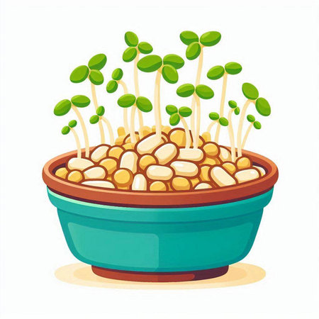 Microgreens sprouts in a pot isolated on white background. Vector illustration.のイラスト素材