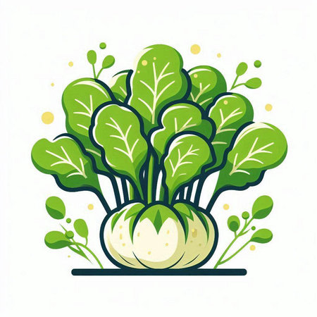 Vegetables, vector illustration. Cabbage in a pot.のイラスト素材