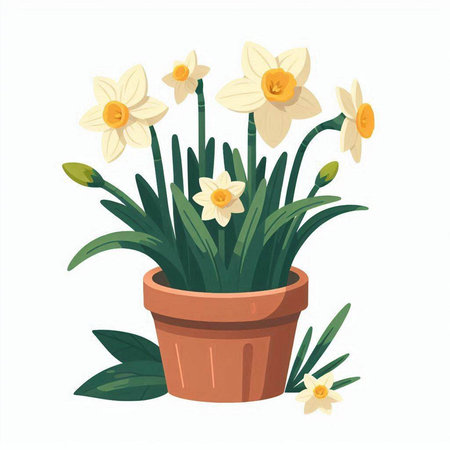 Daffodils in a pot on a white background. Vector illustration.のイラスト素材
