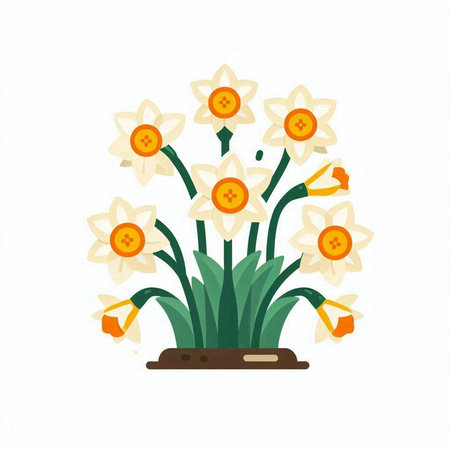 Daffodils in a pot on a white background. Vector illustration.のイラスト素材