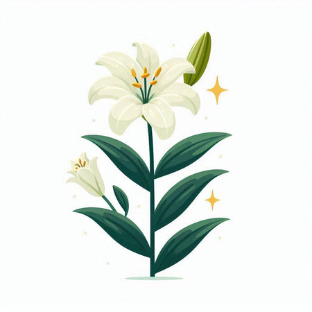 White lily flower isolated on white background. Flat vector illustration.のイラスト素材
