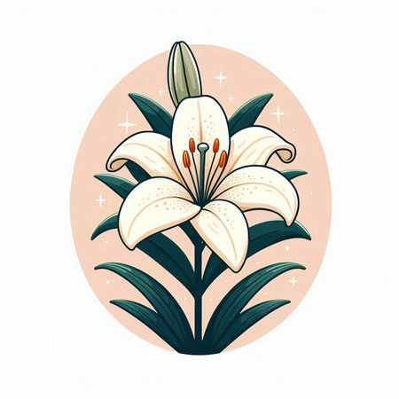 Vector illustration of a white lily flower on a round background.のイラスト素材