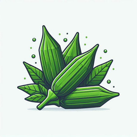 Illustration of fresh okra with green leaves and water drops.のイラスト素材