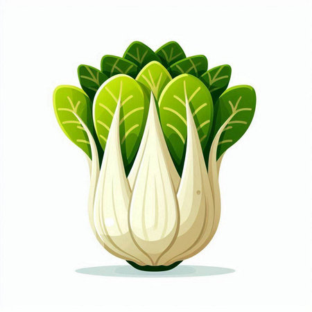 Bok choy vegetable isolated on white background. Vector illustration.のイラスト素材