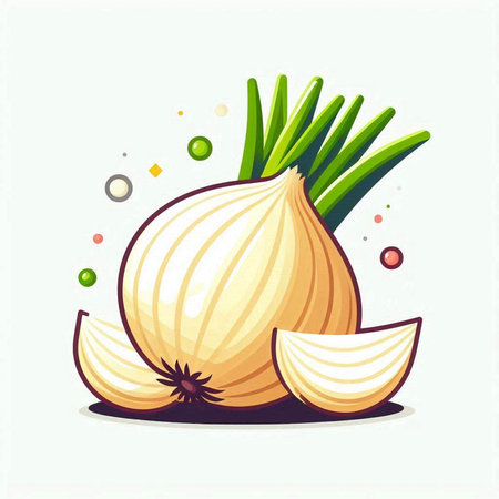 Illustration of onion on white background. Vegetable vector illustration.のイラスト素材