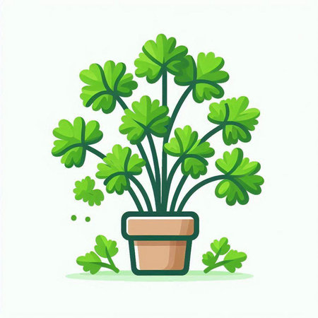 Parsley in a pot on a white background. Vector illustration.のイラスト素材