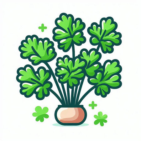 Parsley plant in pot isolated on white background. Vector illustration.のイラスト素材