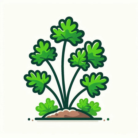 Parsley plant, vector illustration, doodle icon.のイラスト素材