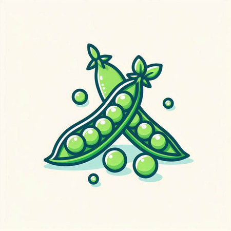 Peas in pods and green peas on a white background. Vector illustration.のイラスト素材