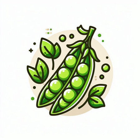 Green peas icon. Vector illustration of fresh pea pod with leaves.のイラスト素材