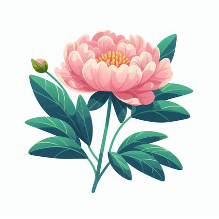 Pink peony flower with green leaves isolated on white background. Vector illustration.のイラスト素材