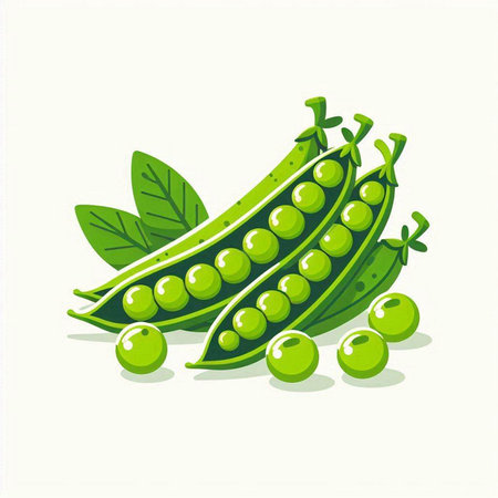 Peas and green leaves on a light background. Vector illustration.のイラスト素材