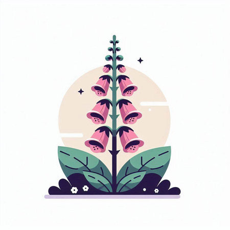 Flower of foxglove. Vector illustration in flat style.のイラスト素材