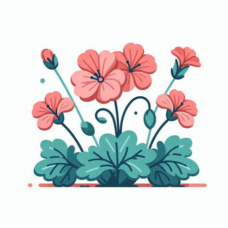 Geranium flowers isolated on white background. Hand drawn vector illustration.のイラスト素材