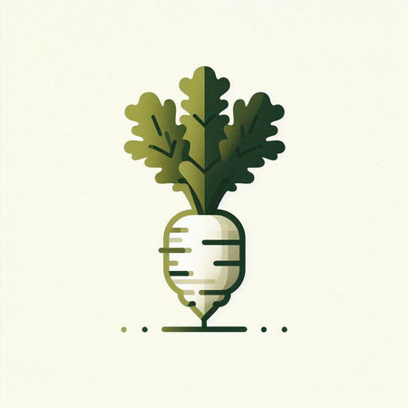 Vector illustration of turnip in flat style. Vegetable icon.のイラスト素材