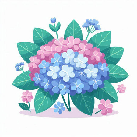Hydrangea flower bouquet isolated on white background. Vector illustration.のイラスト素材