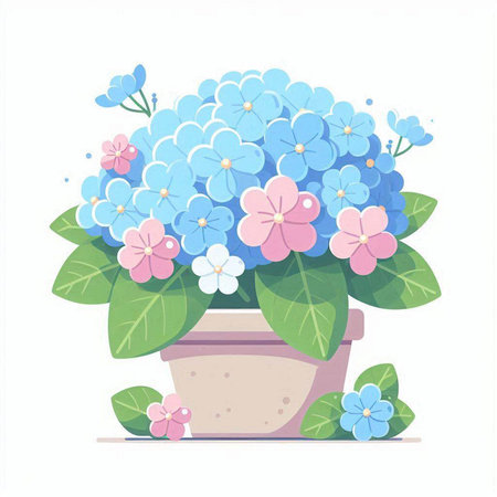 Flowerpot with blue hydrangea. Vector illustration.のイラスト素材