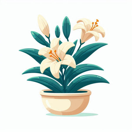 Flowerpot with lily flowers isolated on white background. Vector illustration.のイラスト素材