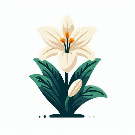 White lily flower isolated on white background. Hand drawn vector illustration.のイラスト素材