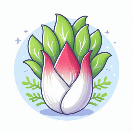 Illustration of a colorful radicchio flower on a white backgroundのイラスト素材