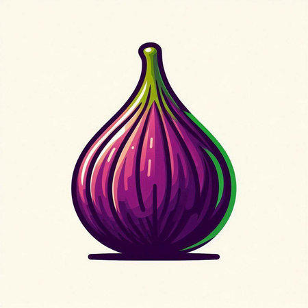 Illustration of a purple fig on white background. Vector illustration.のイラスト素材