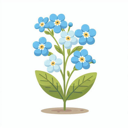 Blue forget-me-not flowers on white background. Vector illustration.のイラスト素材