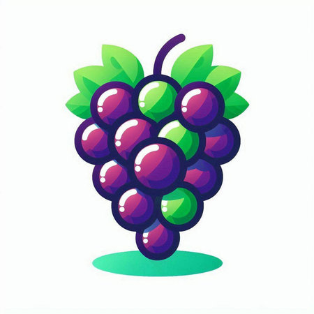 Grapes on a white background. Vector illustration of grapes.のイラスト素材