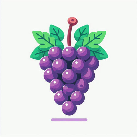 Grapes vector illustration. Isolated on a white background.のイラスト素材
