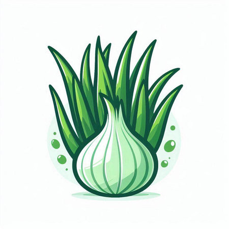 Illustration of fresh green onion on white background. Vector illustration.のイラスト素材