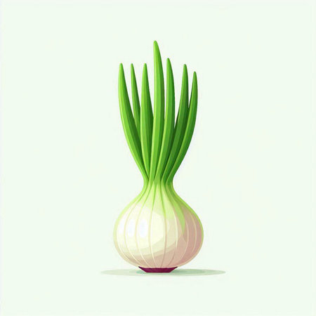 Illustration of a fresh onion on a green background. Vector illustrationのイラスト素材