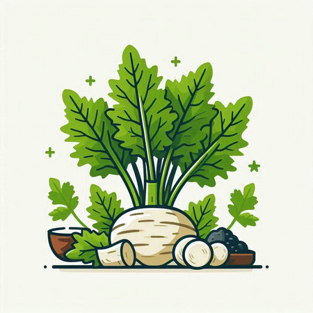 Vegetables, vector illustration. Radish, parsley, black olives, onion, parsley.のイラスト素材