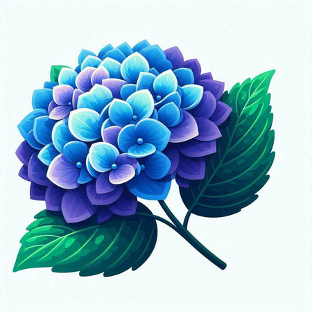 Illustration of blue hydrangea with green leaves on white backgroundのイラスト素材
