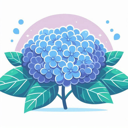 Blue hydrangea flower on white background. Vector illustration.のイラスト素材