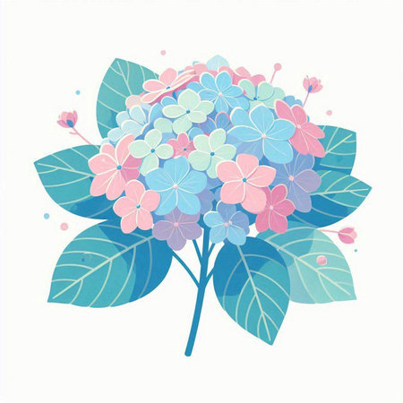 Beautiful hydrangea flower on white background. Vector illustration.のイラスト素材