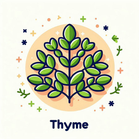 Thyme word card with green leaves. Vector flat illustration.のイラスト素材