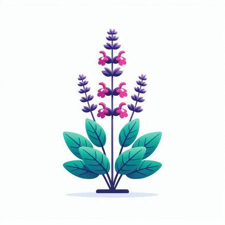 Lavender flowers. Vector illustration in cartoon style. Isolated on white background.のイラスト素材