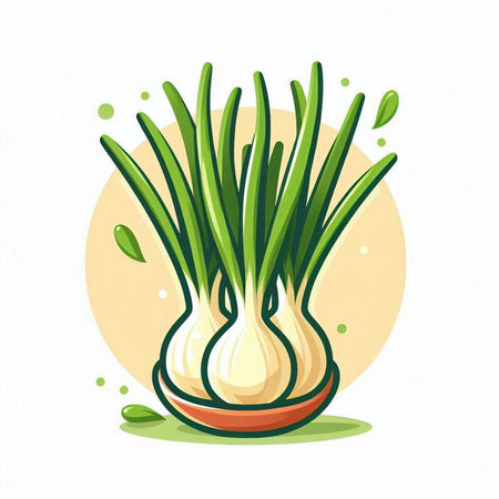 Illustration of fresh spring onion on white background. Vector illustration.のイラスト素材