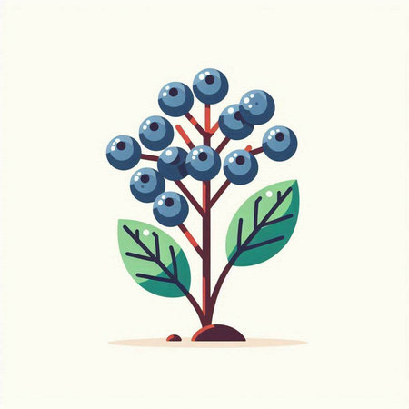 Blueberry plant with berries and leaves. Vector illustration in flat styleのイラスト素材
